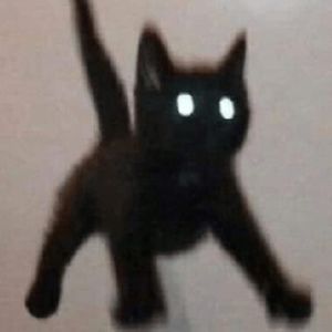 Meet your Posher, Maki